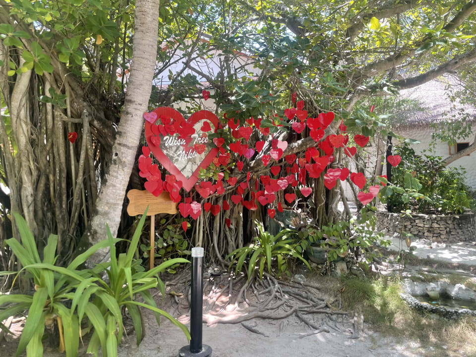 Gartenanlage Cinnamon Dhonveli Maldives