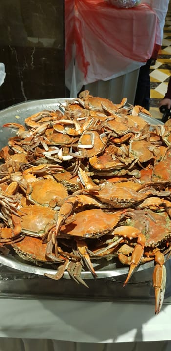 Gastro Sentido Trendy Verbena Beach