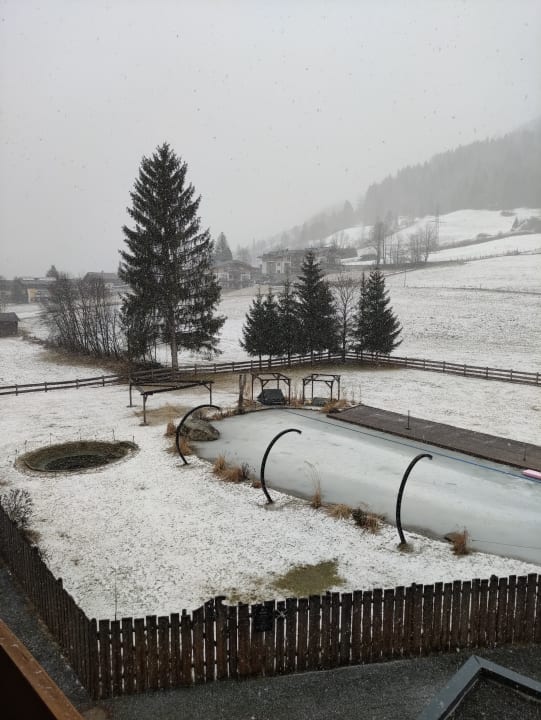Ausblick Das Falkenstein