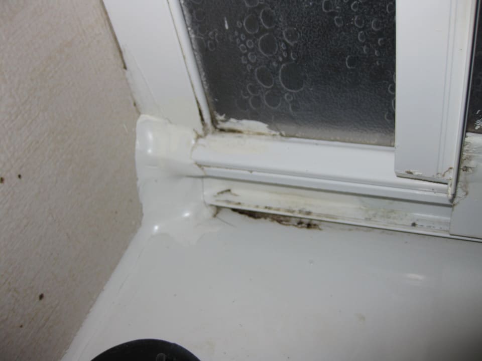 Schimmel in der Dusche Selectum Family Comfort Side