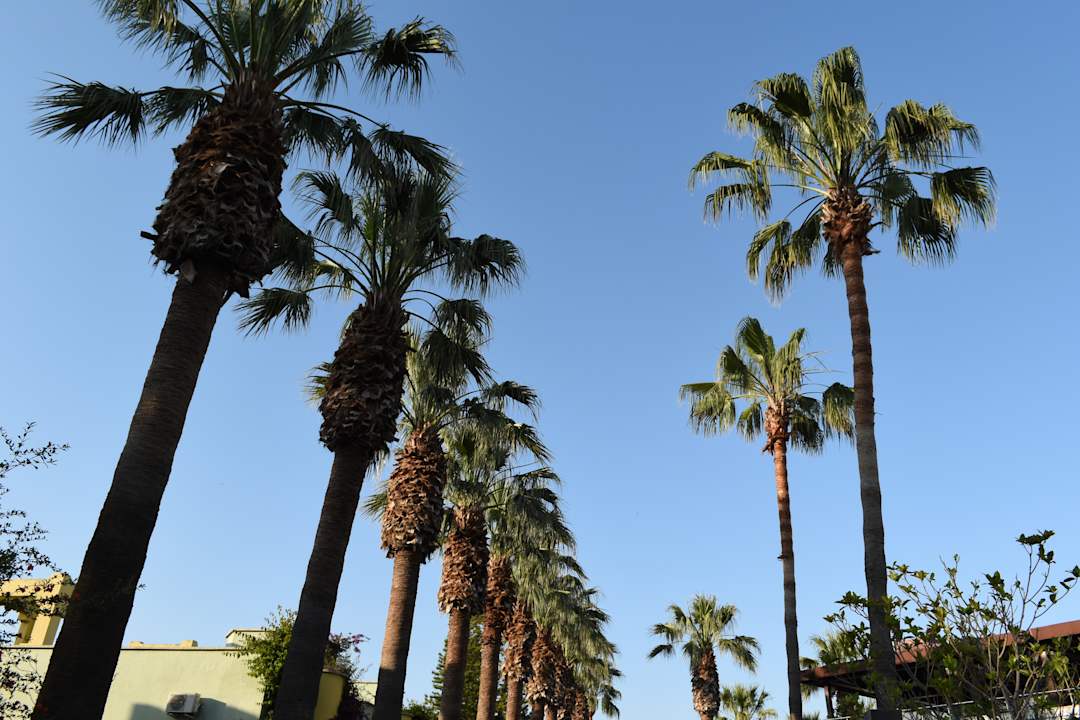 Gartenanlage VONRESORT Golden Beach