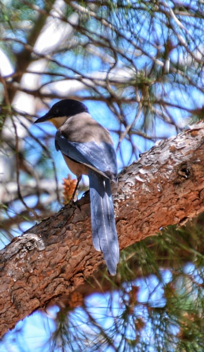 Gartenanlage AP Adriana Beach Resort