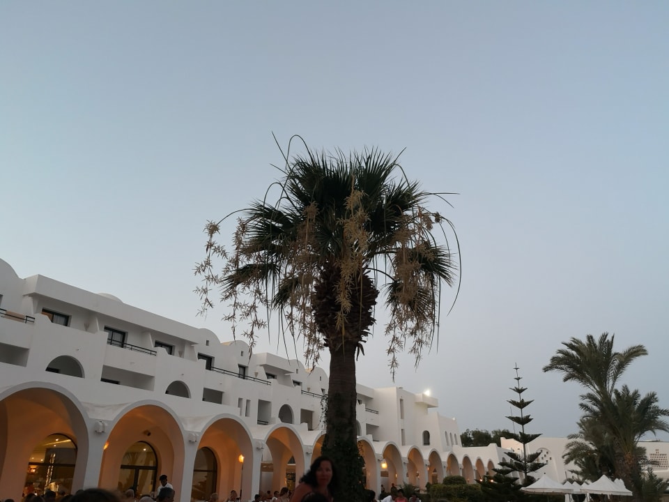 Gartenanlage Club Palm Azur