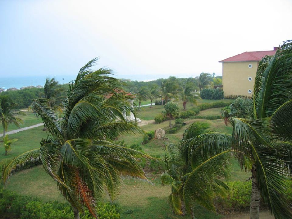 Garten mit Meerblick Paradisus Princesa del Mar Resort & Spa - Adults only