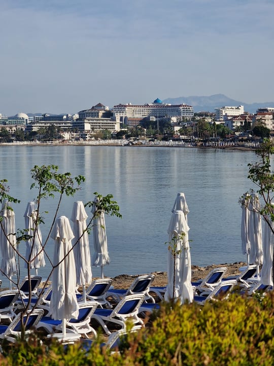 Strand Can Garden Beach