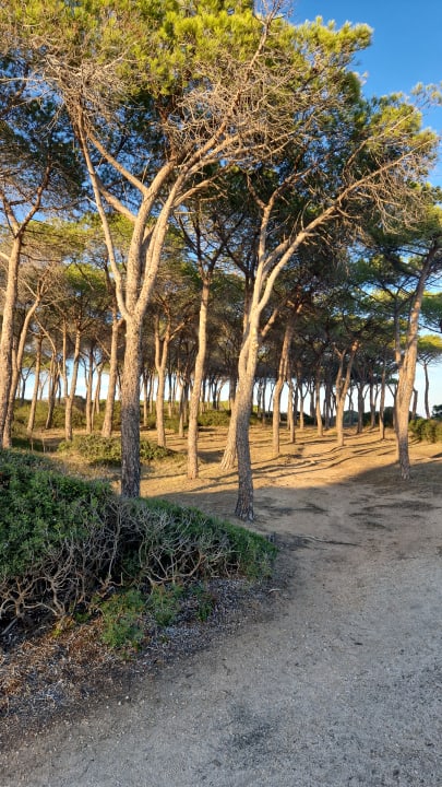 Sonstiges TUI BLUE Budoni