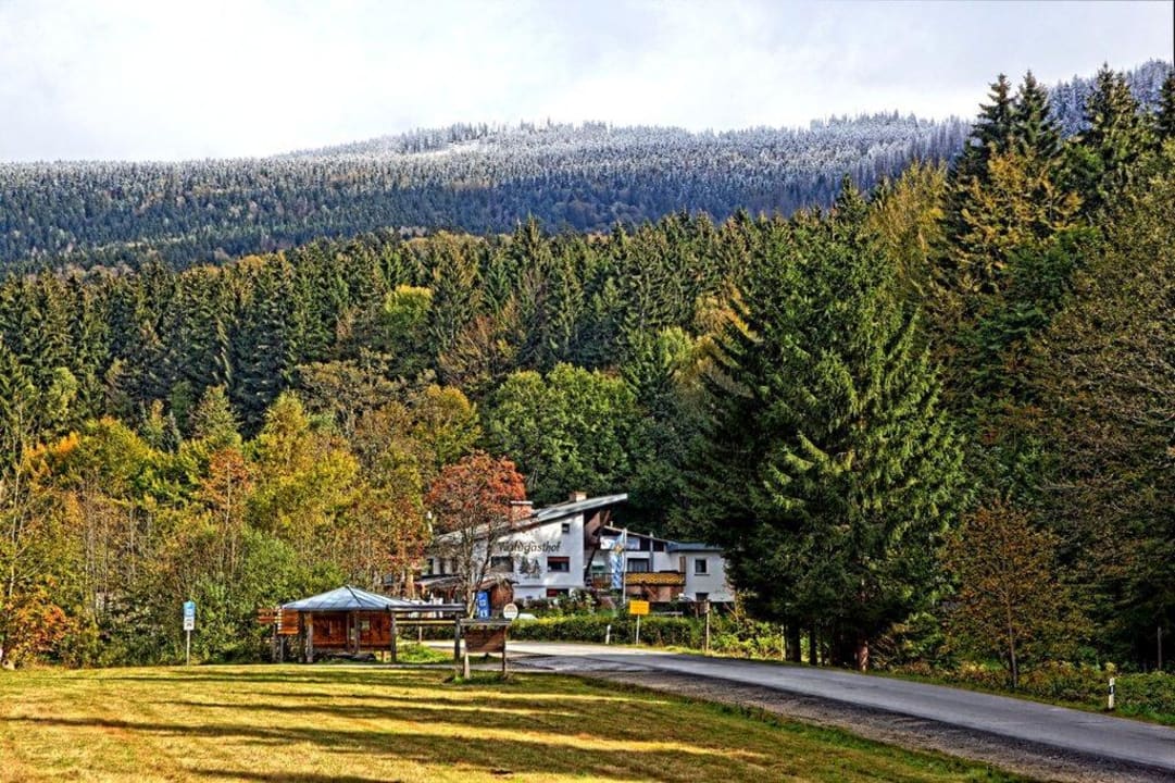 Hotel Scharnagl am Fuß des Falkensteins Hotel Scharnagl mit Waldgasthof