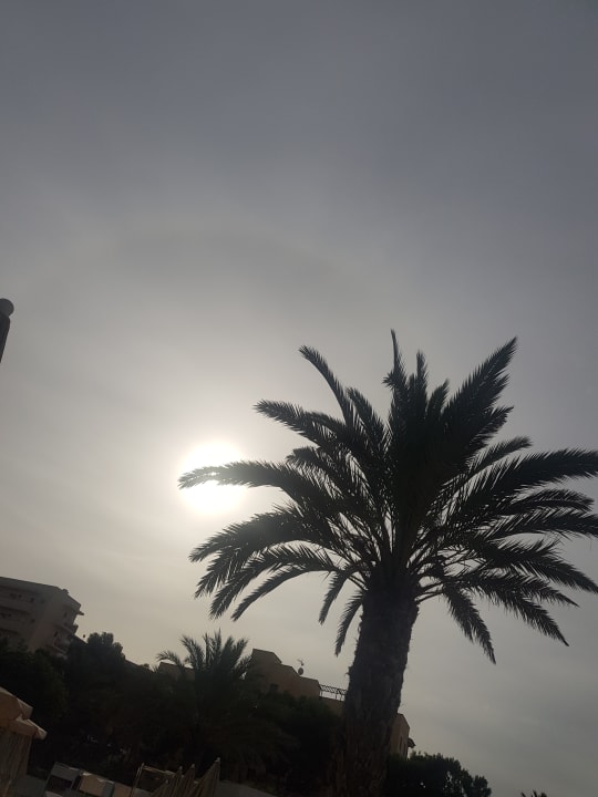 Ausblick Hipotels Gran Playa De Palma