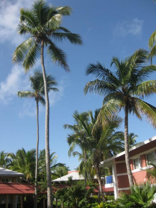 Aussicht vom Balkon Grand Palladium Select Bávaro Resort & Spa