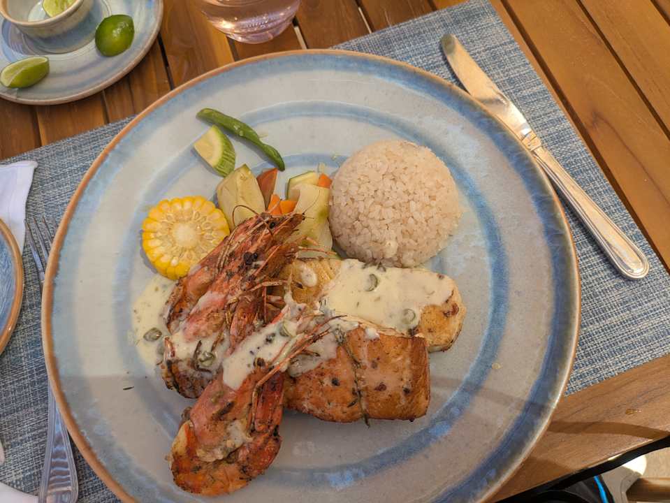 Gastro JAZ Elite Asteria