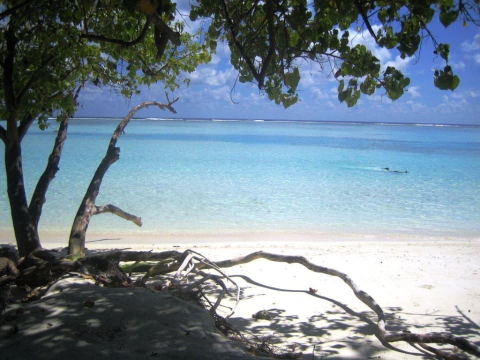 Strandabschnitt 256 Meeru Maldives Resort Island