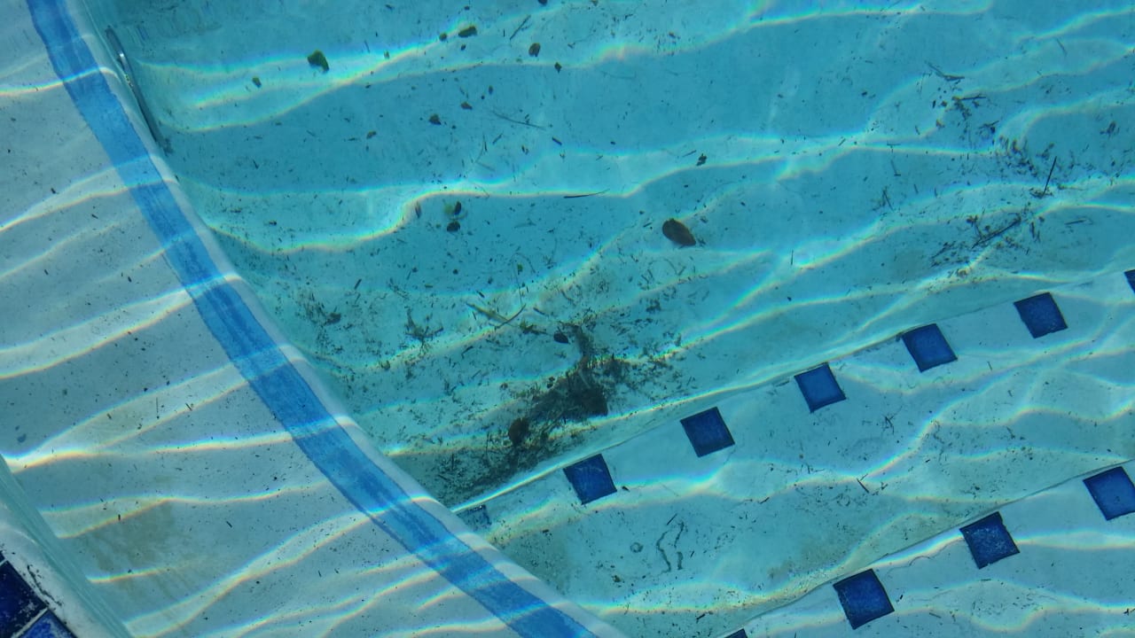 Pool Dreams La Romana Resort & Spa