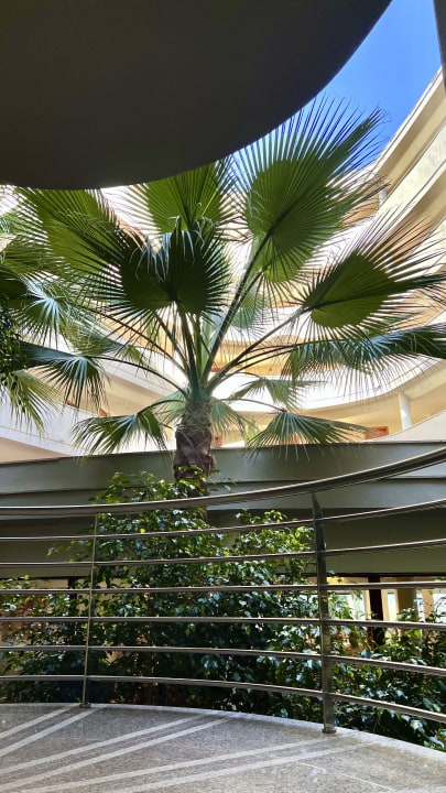 Gartenanlage allsun App.-Hotel Orient Beach