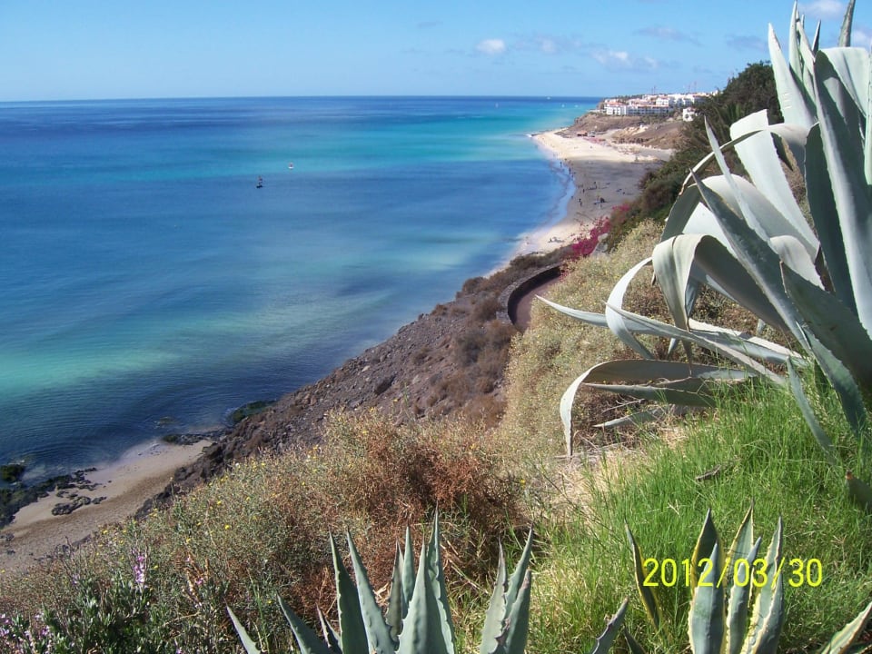 Blick auf den Strand  ROBINSON ESQUINZO PLAYA