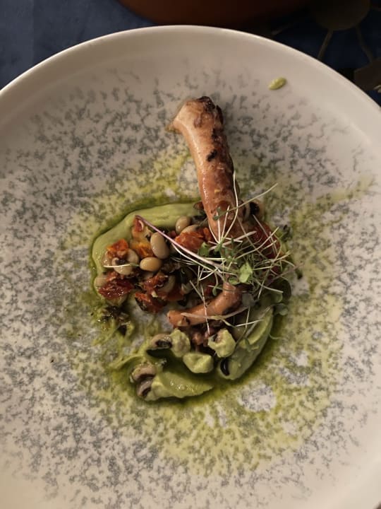 Gastro Acanthus Cennet Barut Collection