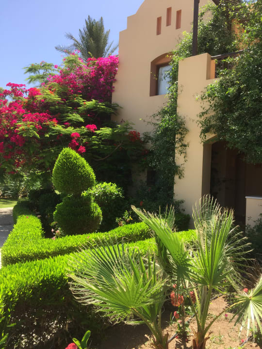 Gartenanlage Steigenberger Coraya Beach - Adults only