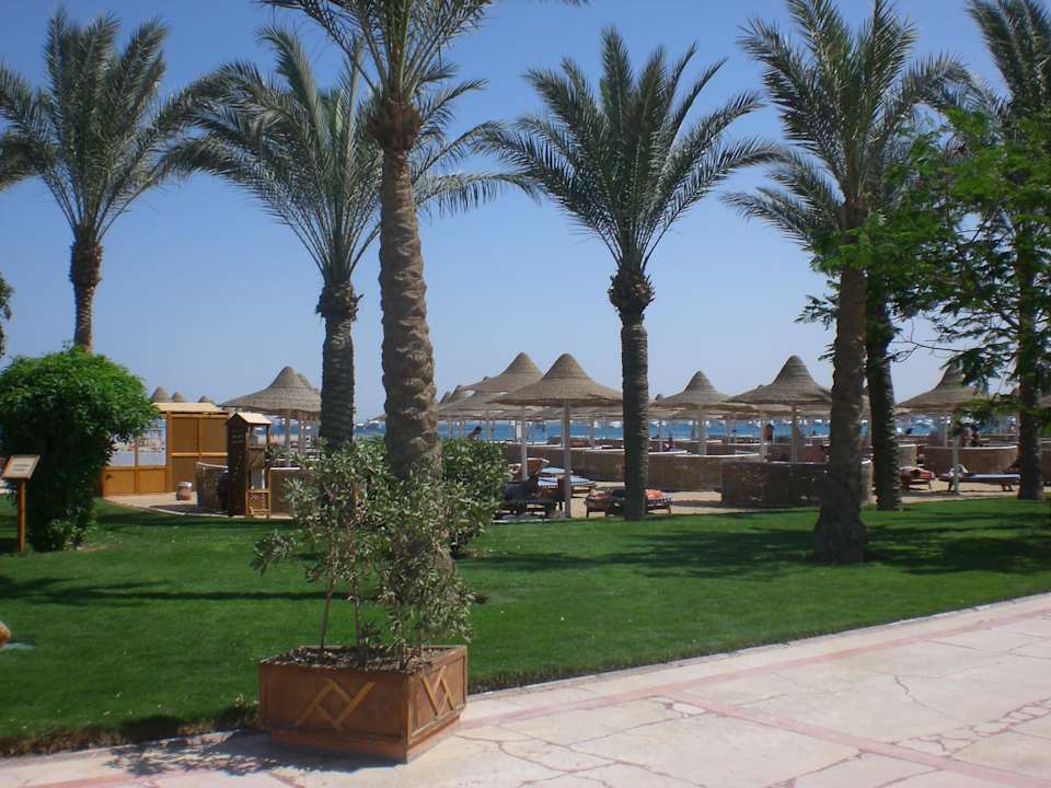 Strand direkt am Hotel Siva Grand Beach