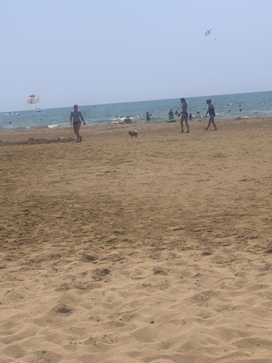 Strand Süral Saray Hotel