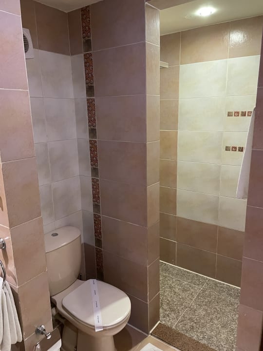 Zimmer Pickalbatros Palace Resort
