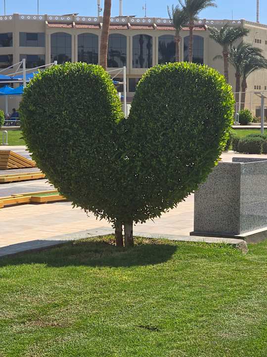 Außenansicht Beach Albatros Resort