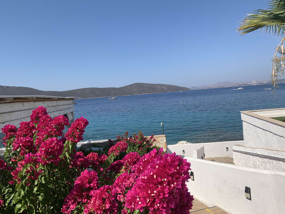 Außenansicht TUI MAGIC LIFE Bodrum - Adult Only (16+)