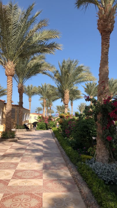 Gartenanlage Riviera Aqua Park Resort