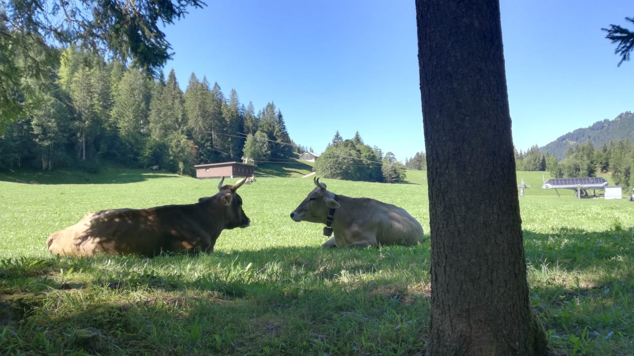 Sonstiges Gasthof Schwabenhof