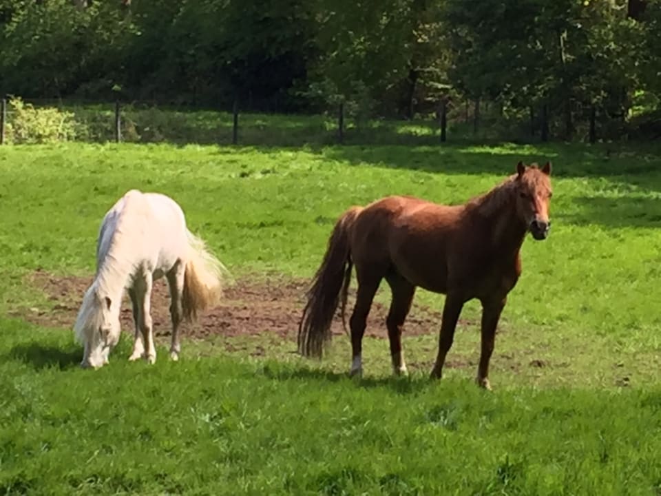Gartenanlage Golfpark Gut Düneburg
