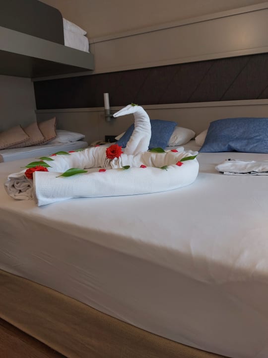 Zimmer Seaside A Lifestyle Resort