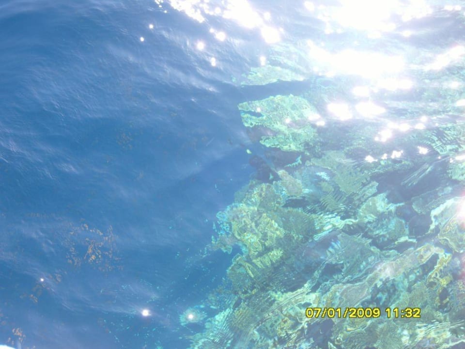 Riff am Steg Charmillion Sea Life Resort