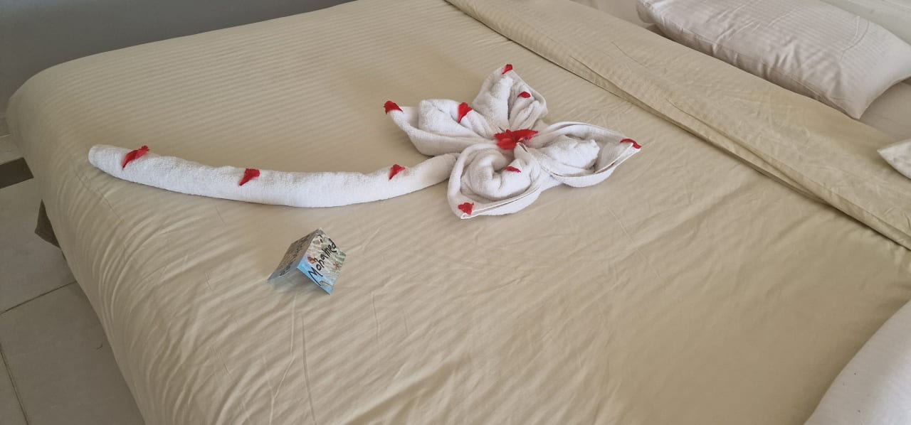 Zimmer The Grand Palace - Adults only