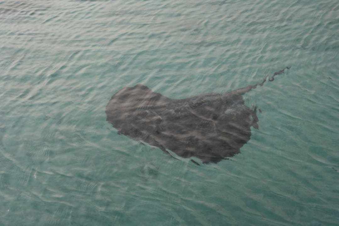 Rochen Kuredu Island Resort & Spa