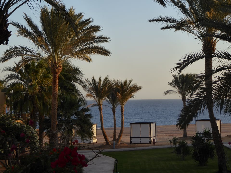 Ausblick Steigenberger Coraya Beach - Adults only