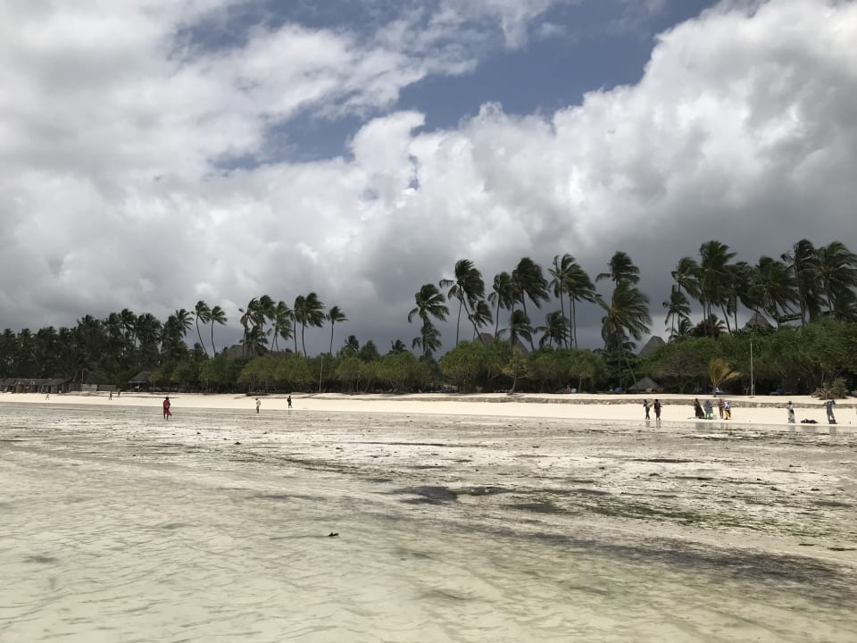 Strand Neptune Pwani Beach Resort & Spa