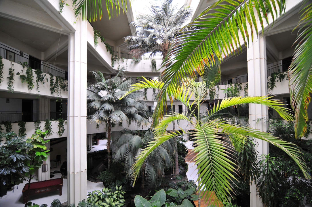 Innenhof Paradisus by Meliá Salinas Lanzarote