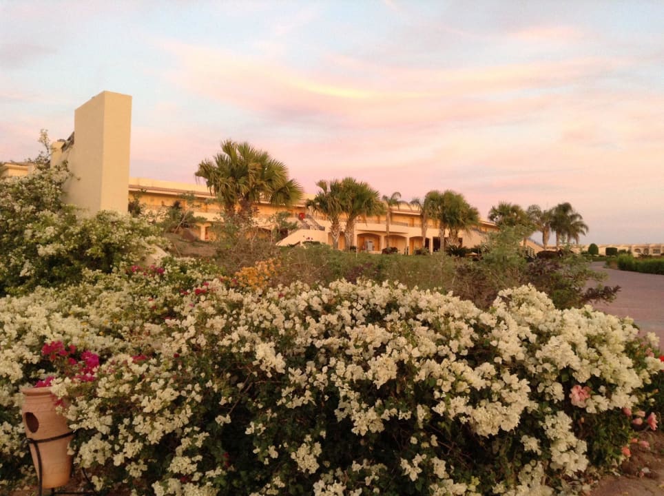 Weg zum Spabereich Cleopatra Luxury Resort Makadi Bay