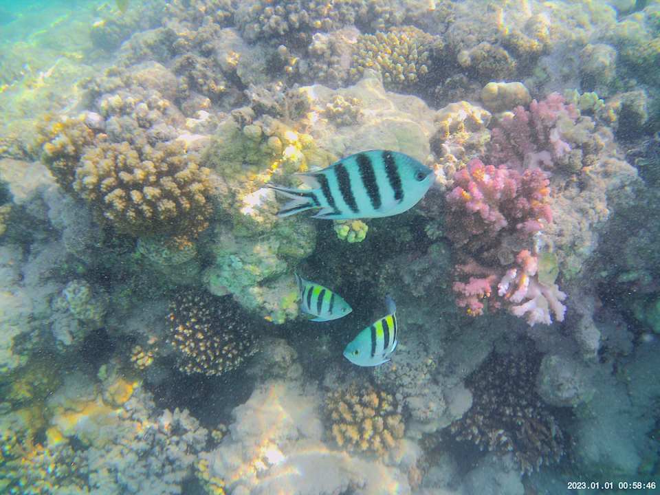 Strand Grand Waterworld Makadi & Family Star Makadi