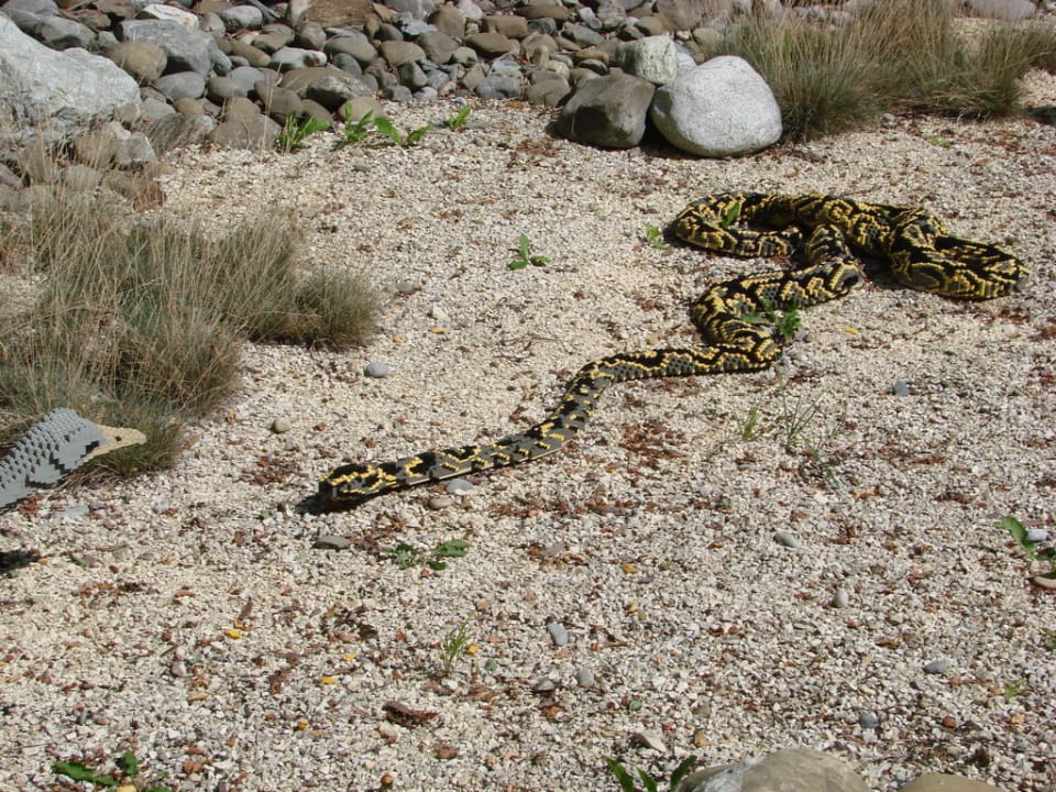 Legoland LEGOLAND Feriendorf