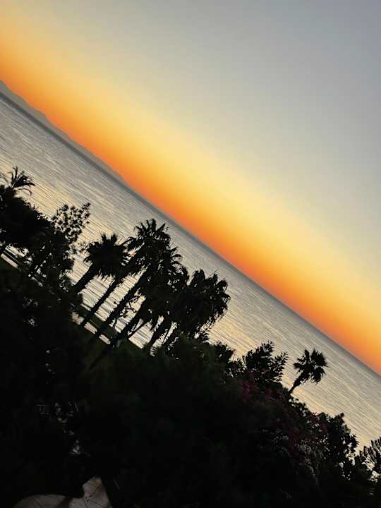 Sonstiges TUI MAGIC LIFE Beldibi +16