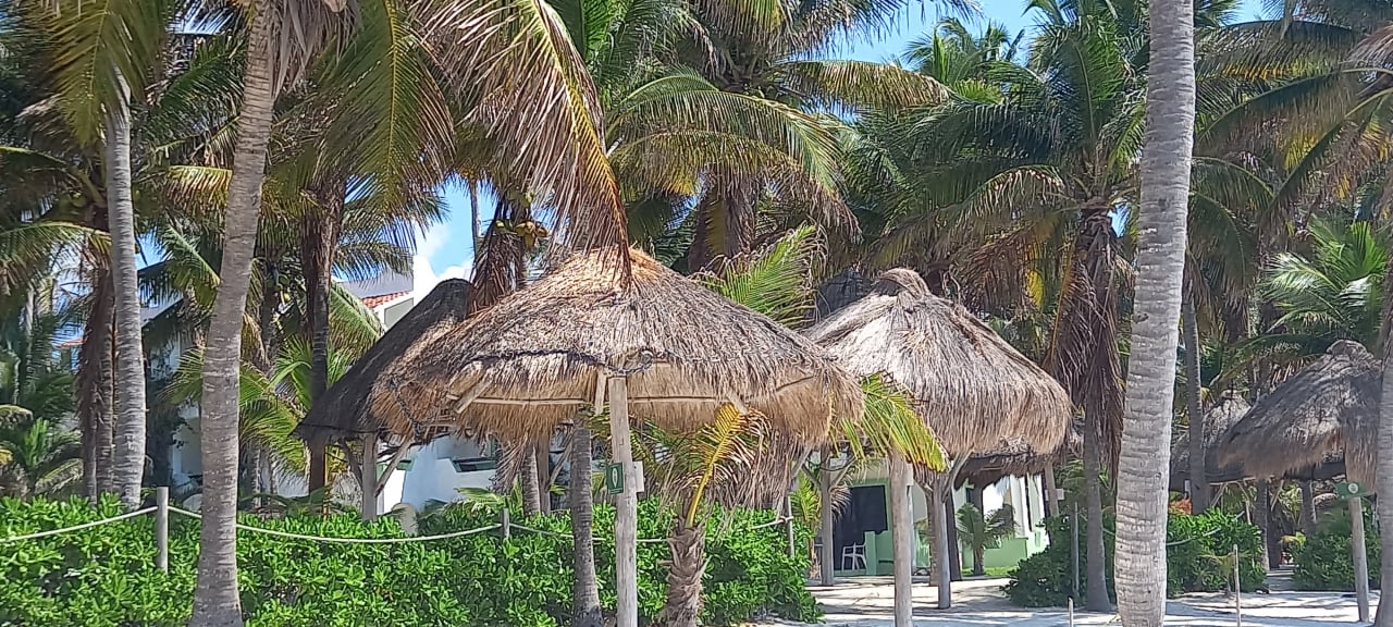 Strand Akumal Bay Beach & Wellness Resort