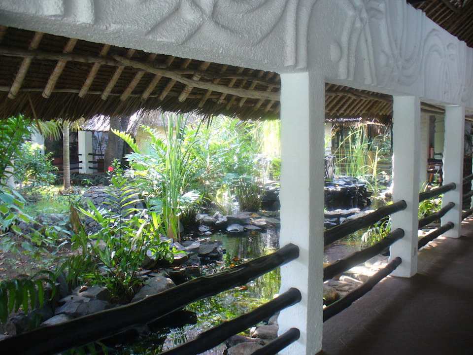 Teich bei der Lobby Hotel Southern Palms Beach Resort