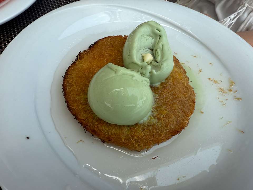 Gastro Seashell Vega