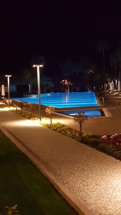 Pool Acanthus Cennet Barut Collection