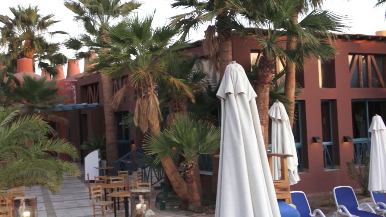Gastro Sheraton Miramar Resort El Gouna
