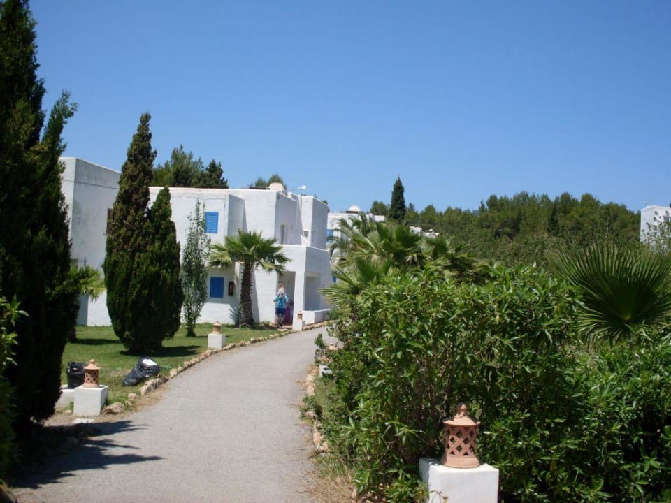 Blick auf ein paar schöne Appartements Cala Llenya Resort Ibiza