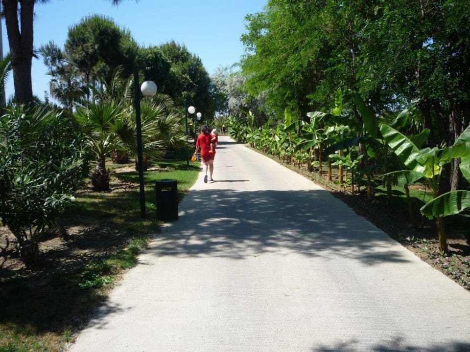 Der Weg zum Strand VONRESORT Golden Beach