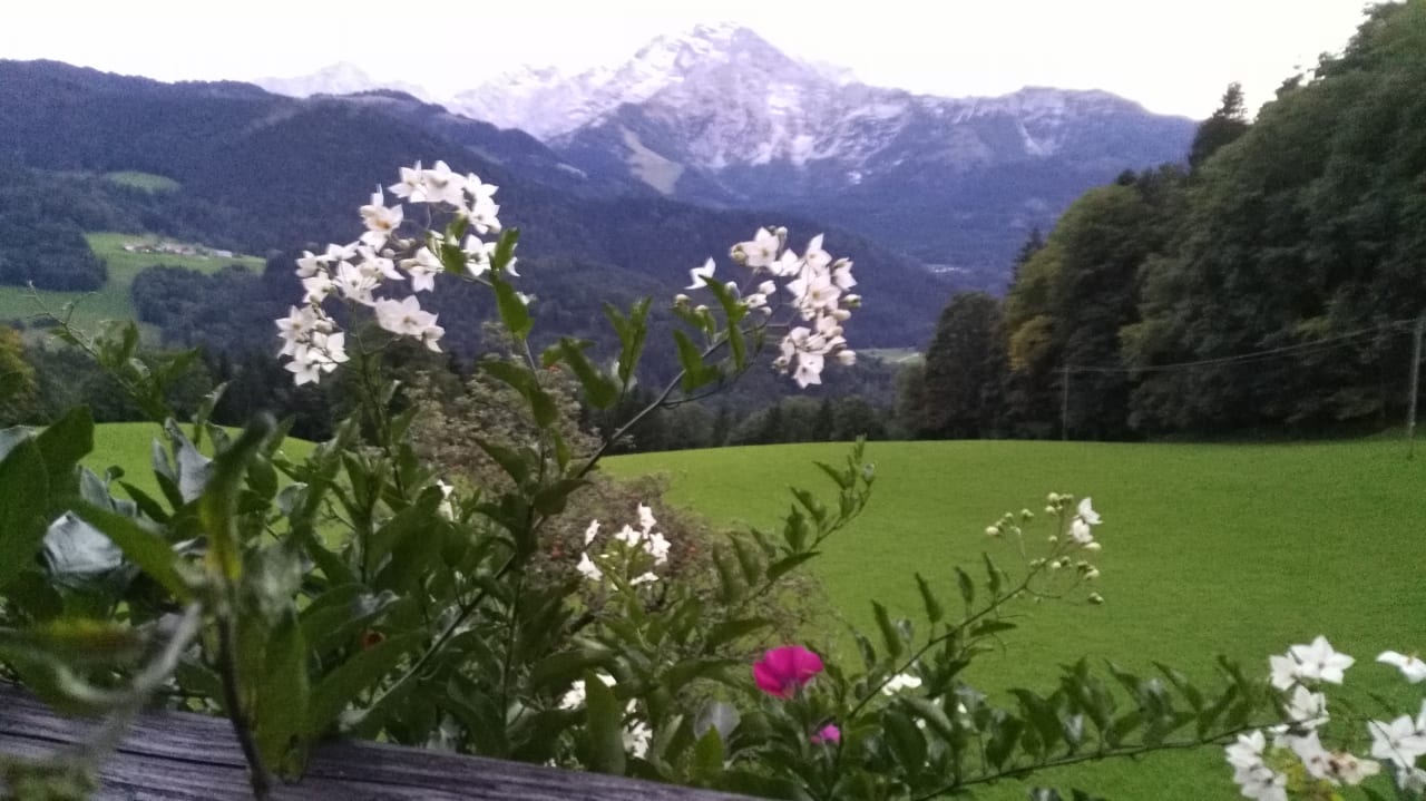 Ausblick Ferienwohnung Jagerlehen