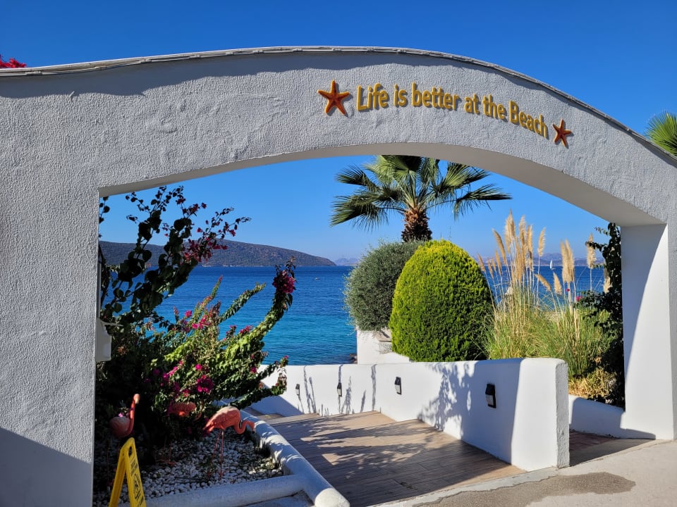 Sonstiges TUI MAGIC LIFE Bodrum - Adult Only (16+)