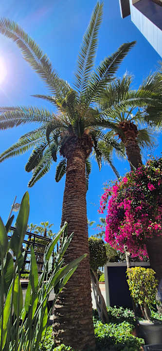 Außenansicht Gardenia Hotel