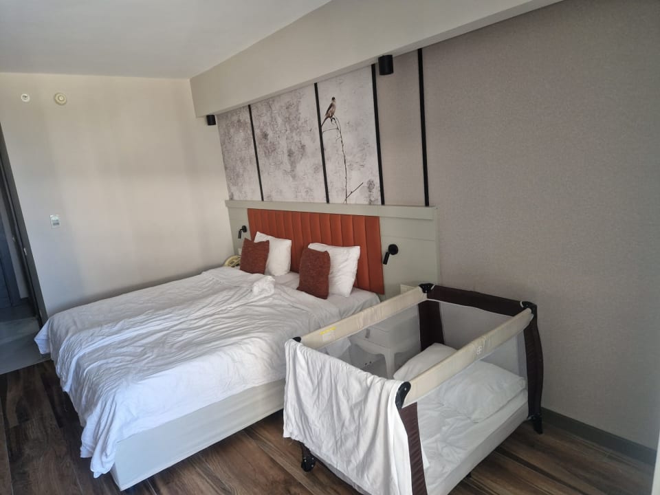 Zimmer Seaden Sea Planet Resort & Spa